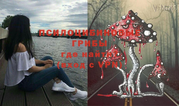 прущие грибы Армянск