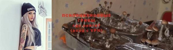 МДПВ Абдулино